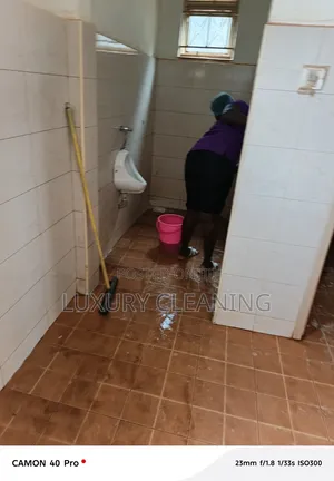 Detailed Cleaning