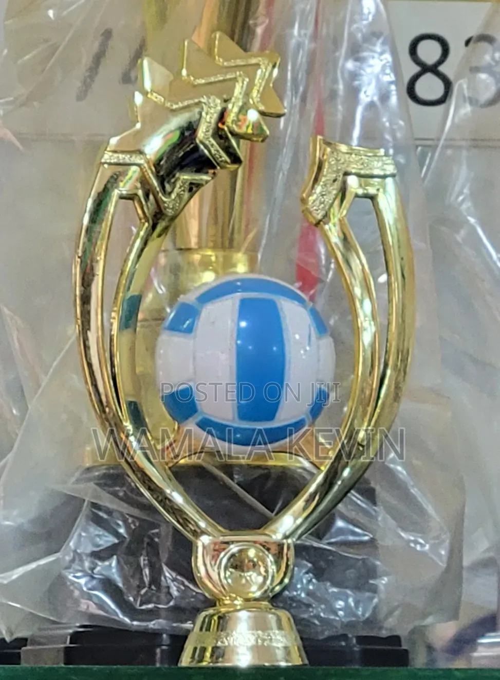 Volleyball Trophy