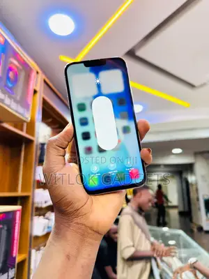 Apple iPhone 13 Pro Max 512 GB Gray