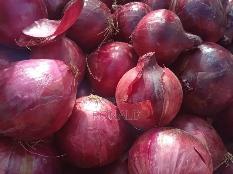 Fresh Well Dried Red Onions