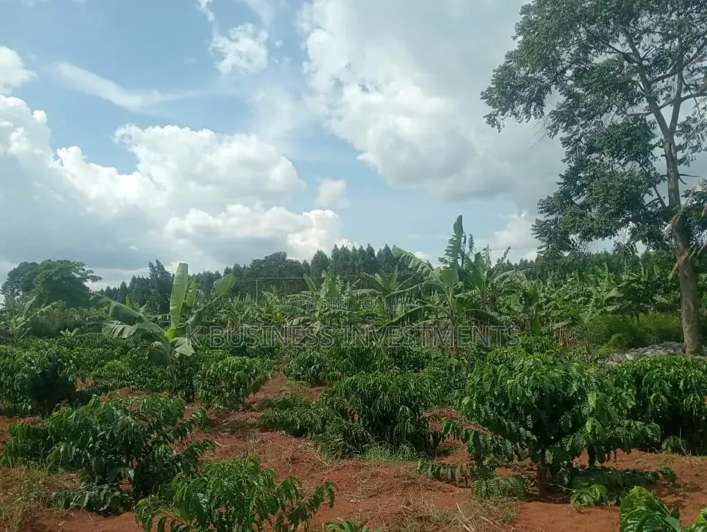 18 Acres of Land at Kiwoko Nakaseke