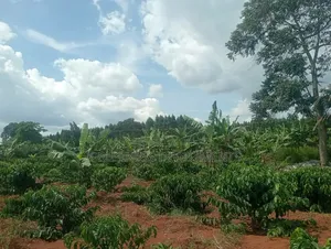 18 Acres of Land at Kiwoko Nakaseke