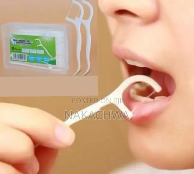 6 Sets of Health Dental Floss Tooth Picks