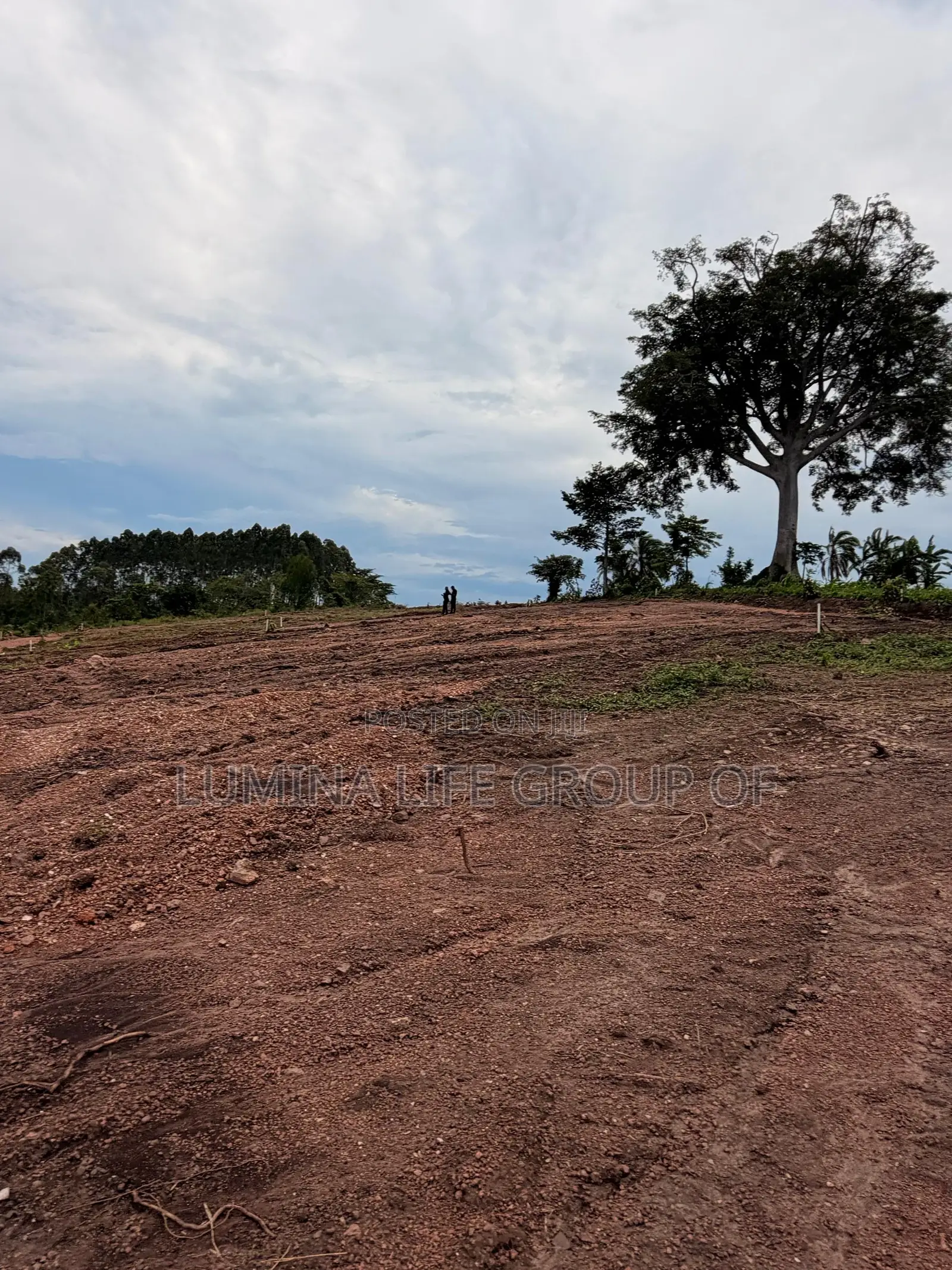 Land for Sell