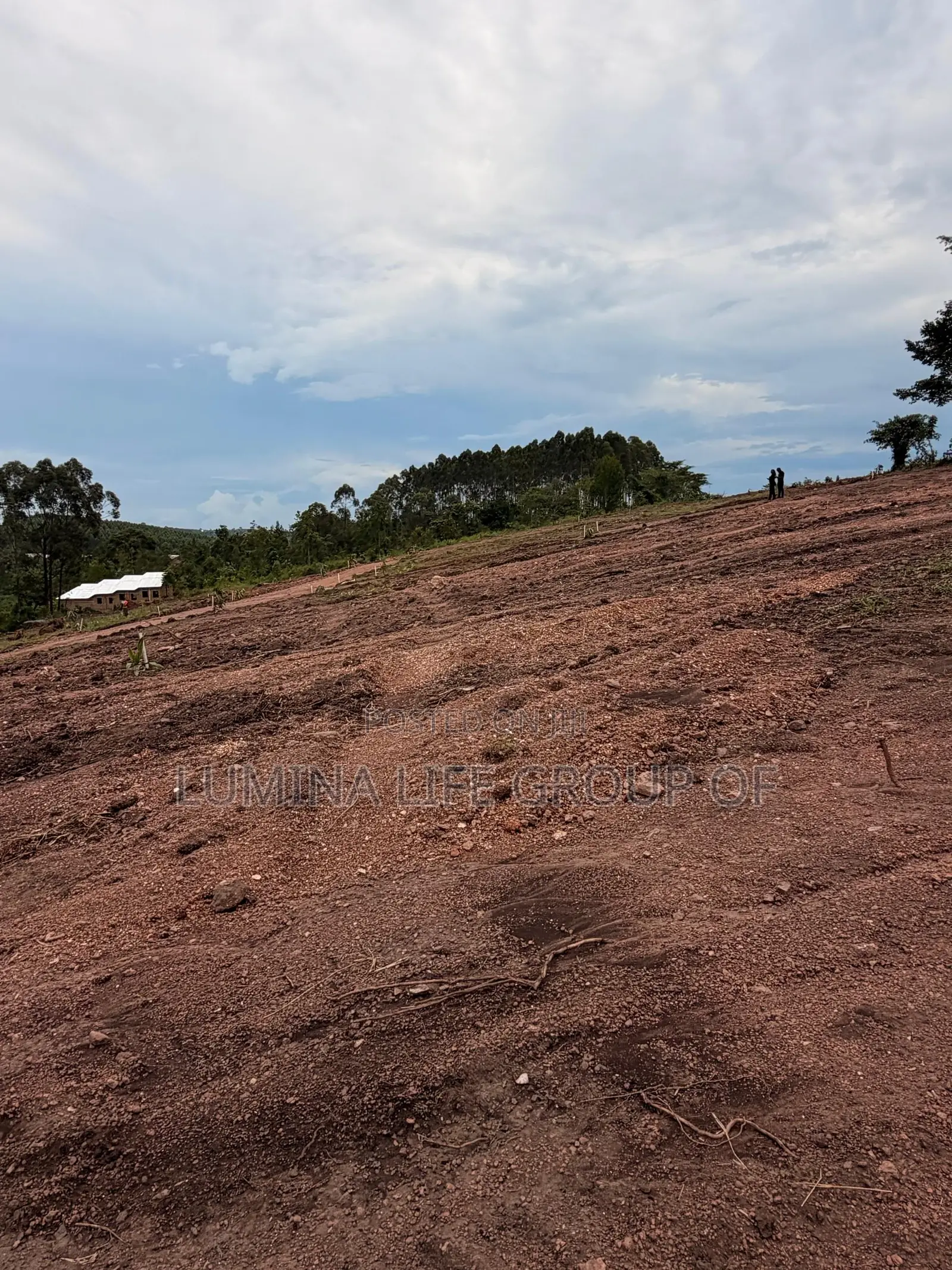 Land for Sell
