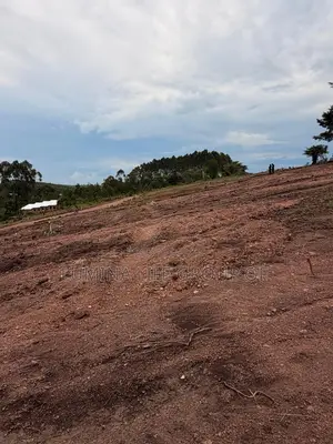 Land for Sell