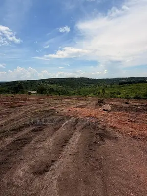 Land for Sell