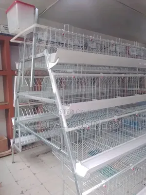 160 Birds Poultry Cage – High Capacity Layer/Broiler System