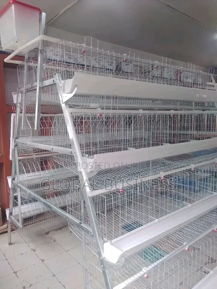 Brand New 160 Birds Poultry Cage Layer/Broiler System