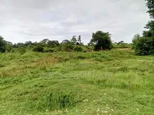 Land for Sale Mainly Sand Mining Is in Buikwe District via Kiyindi