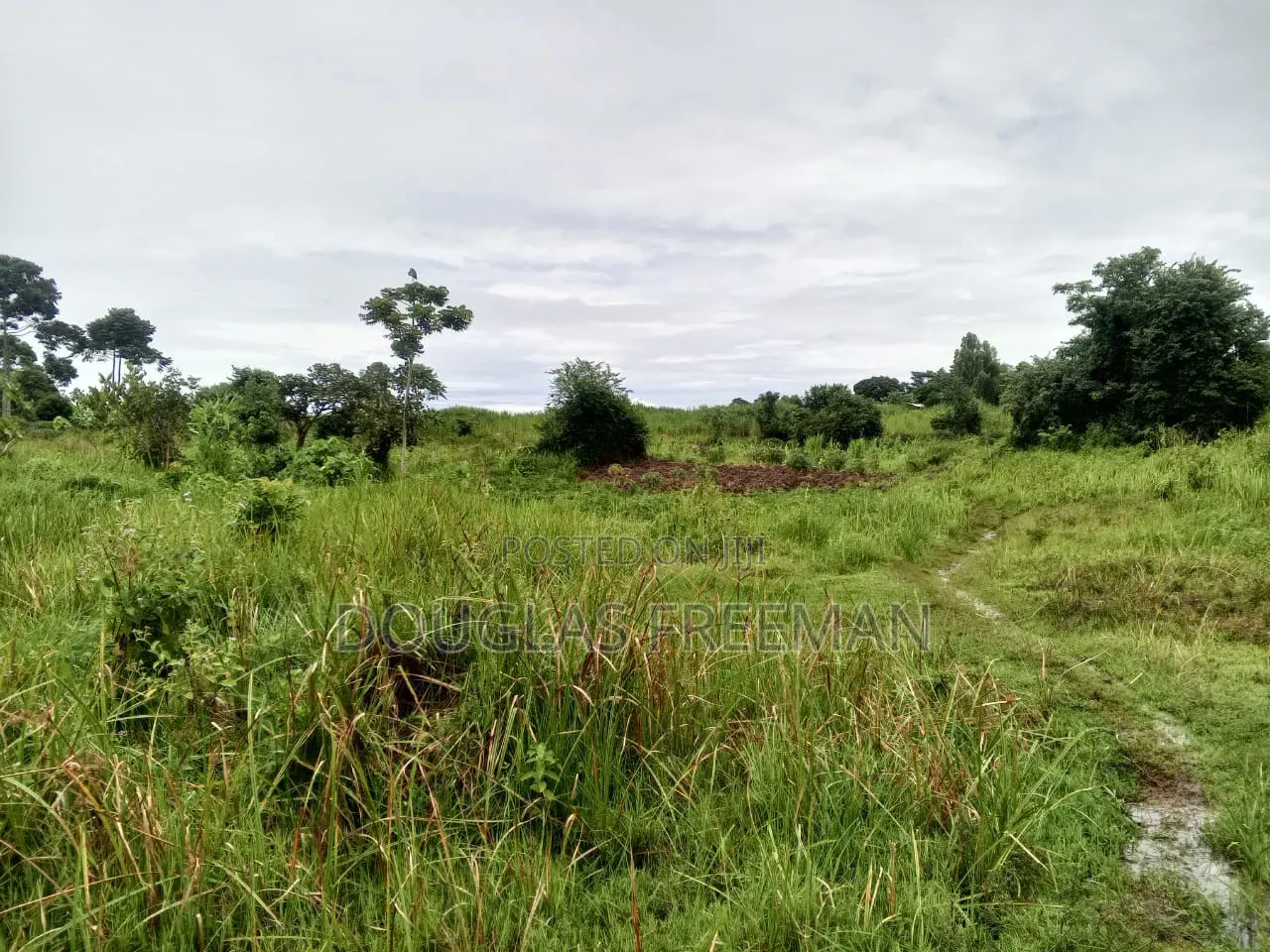 Land for Sale Mainly Sand Mining Is in Buikwe District via Kiyindi