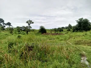 Land for Sale Mainly Sand Mining Is in Buikwe District via Kiyindi