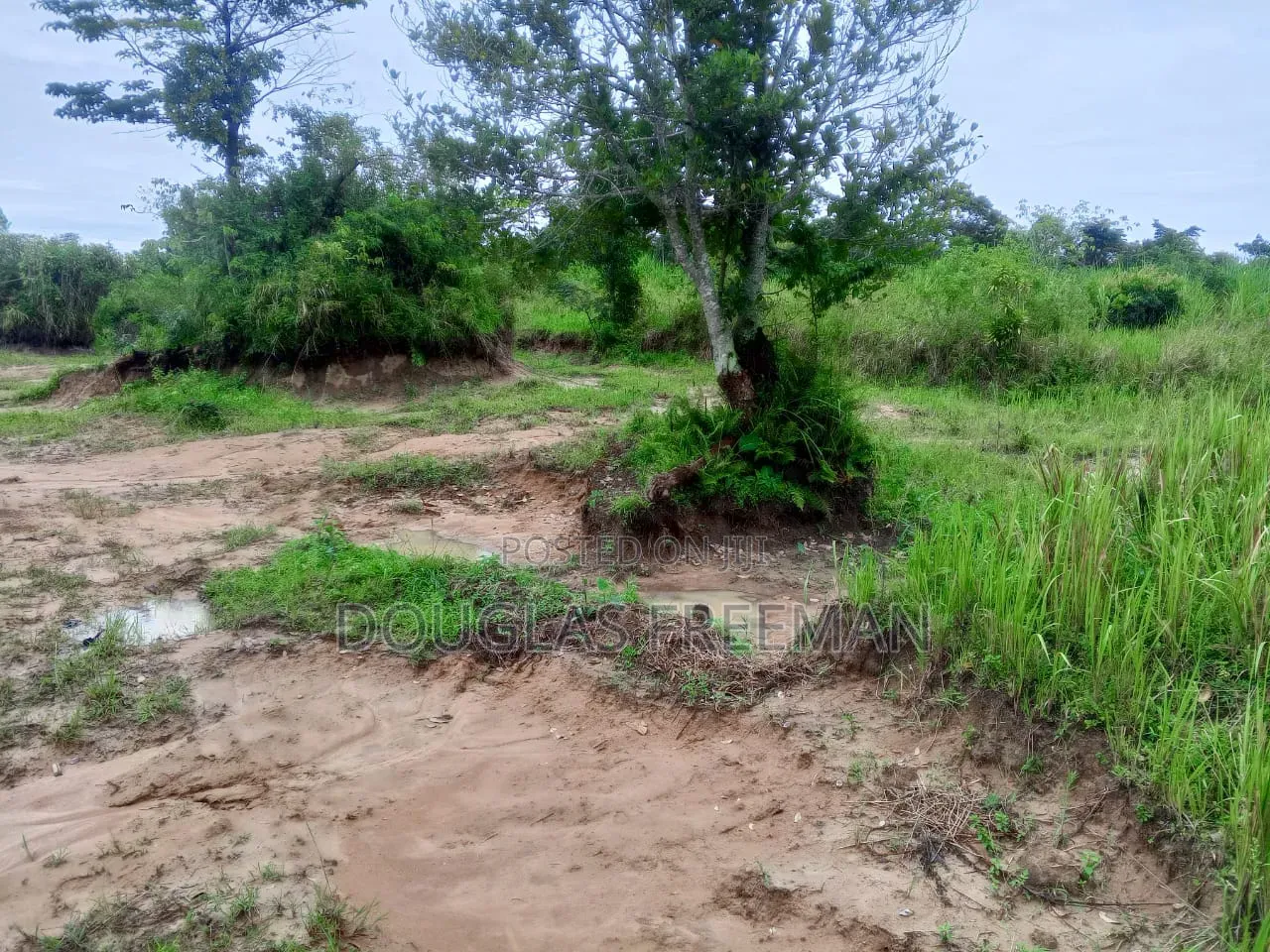 Land for Sale Mainly Sand Mining Is in Buikwe District via Kiyindi