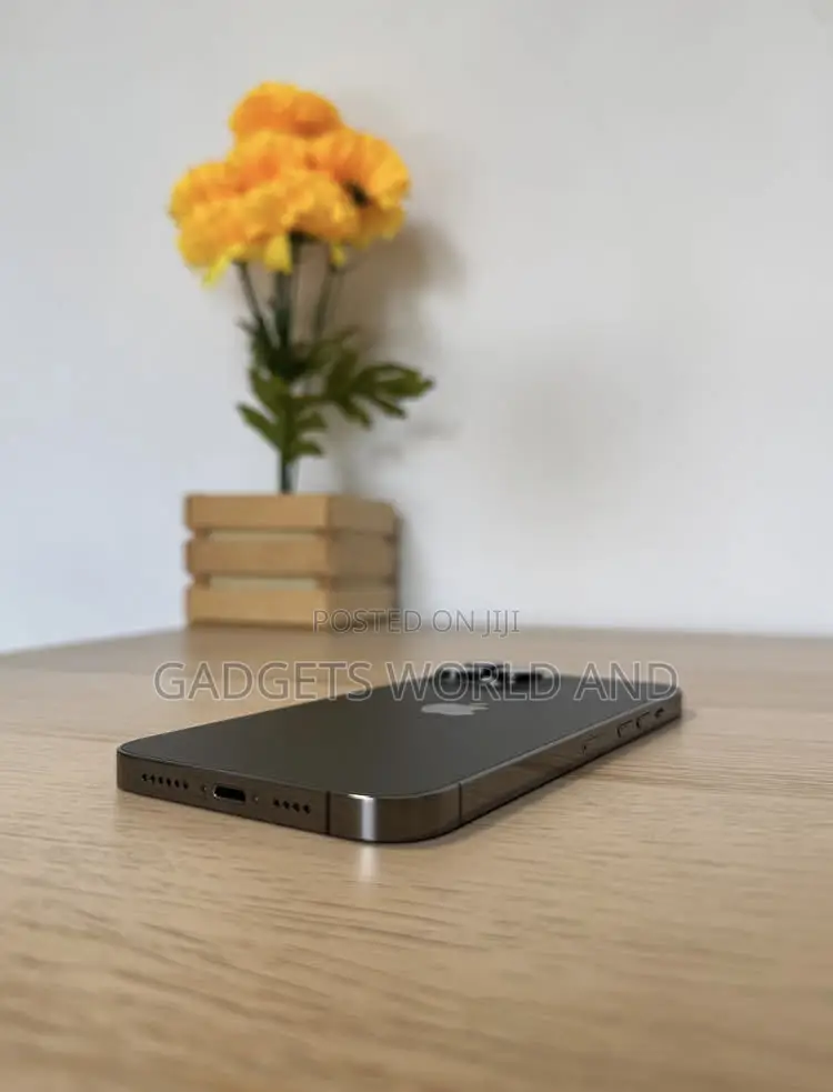 Apple iPhone 13 Pro Max 256 GB Black