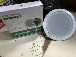 Premium Ceiling Speakers – Deep Bass, Clear Sound Expandable Setup