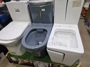 Shower Head and Sinks and Toilets