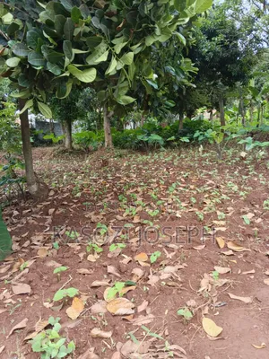 100x100 Plot, Along Entebbe Road