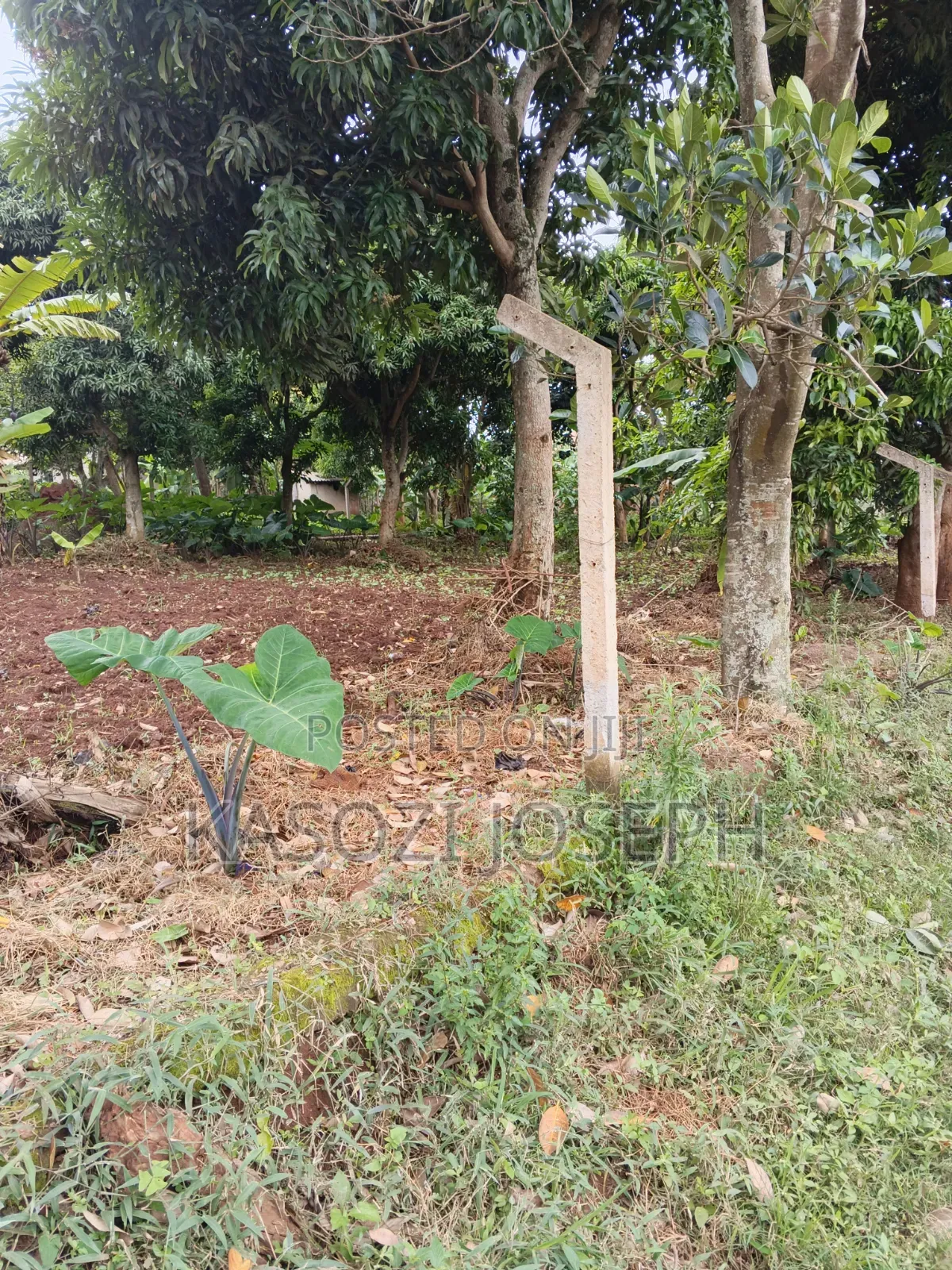 100x100 Plot, Along Entebbe Road