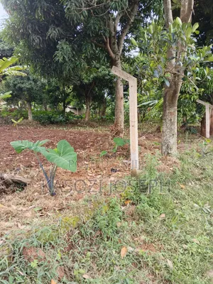 100x100 Plot, Along Entebbe Road
