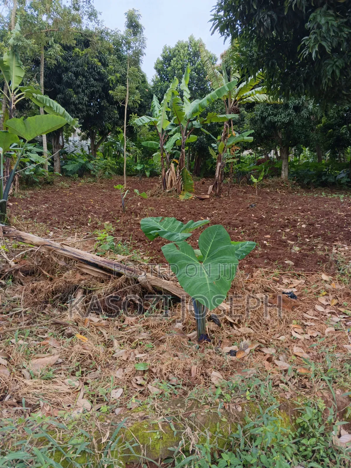 100x100 Plot, Along Entebbe Road