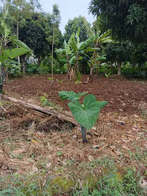 100x100 Plot, Along Entebbe Road