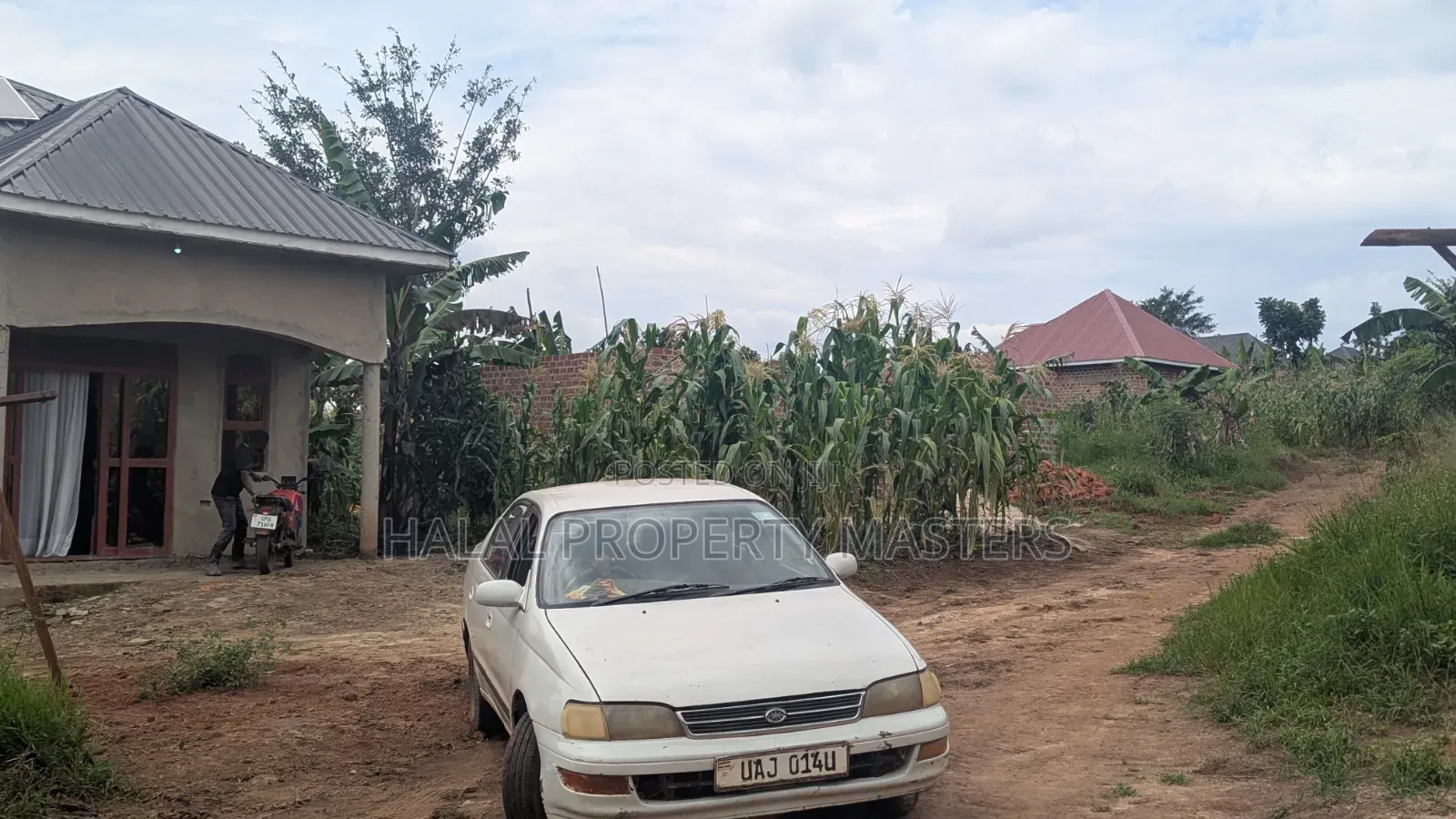 Plot for Sale 50*50