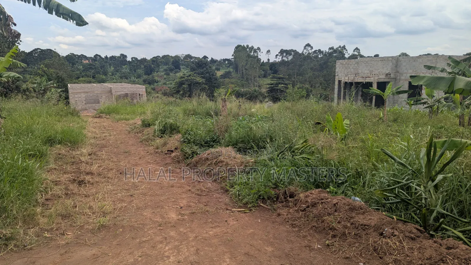 Plot for Sale 50*50