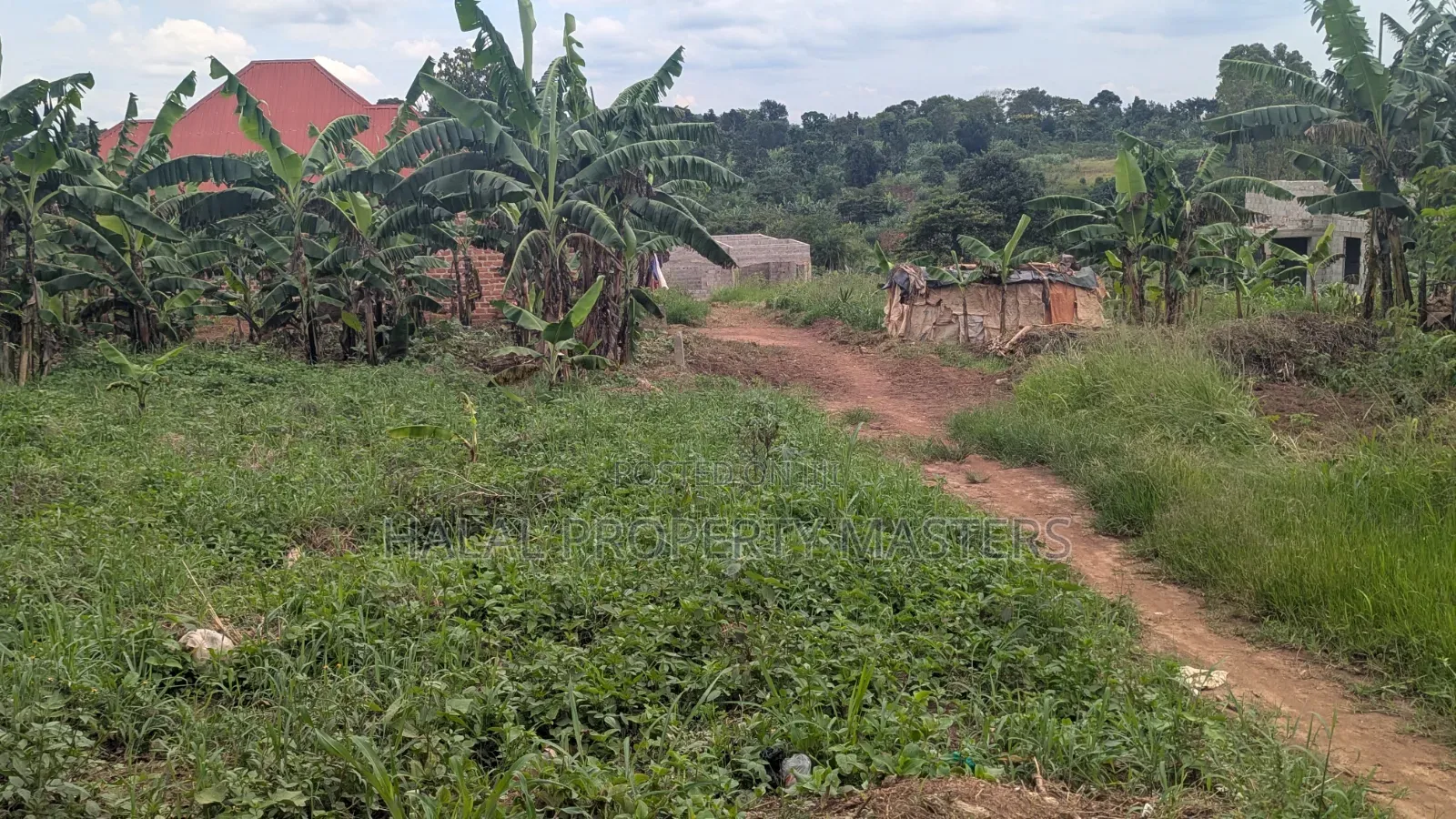 Plot for Sale 50*50