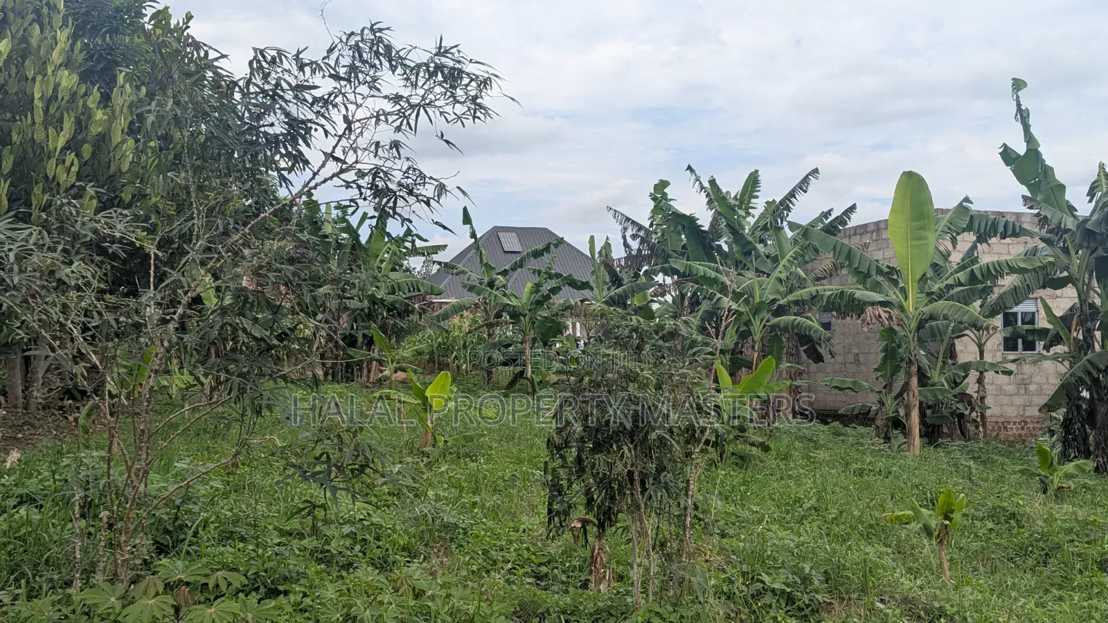 Plot for Sale 50*50