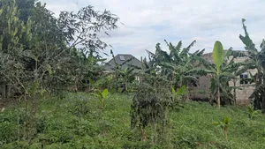 Plot for Sale 50*50