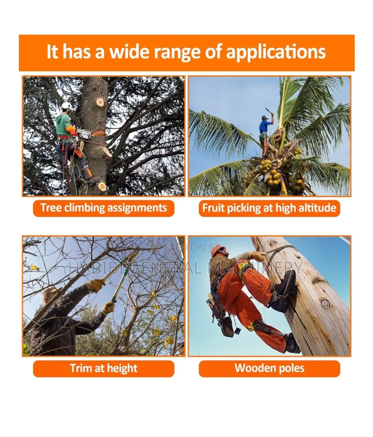 Tree Climbers/Electric Pole Climbers/Climbing Shoes/Safety Belts