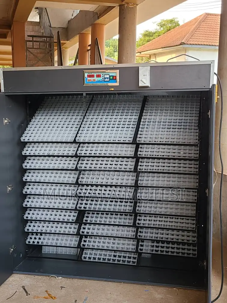 5280 Ac Incubator