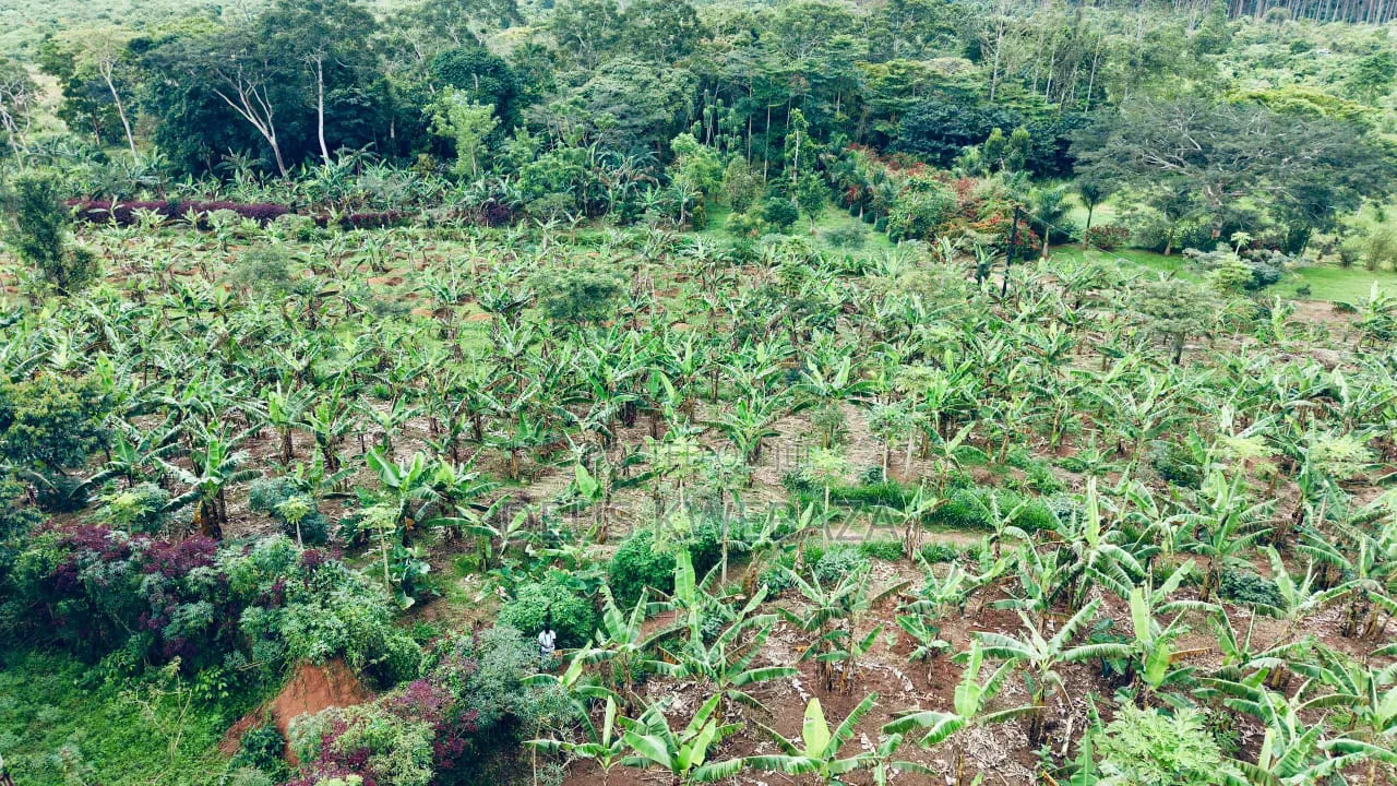 40 Acres on Masaka-Kampala Main Rd. Kampiringisa