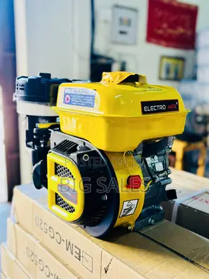 Petrol Engine Em165