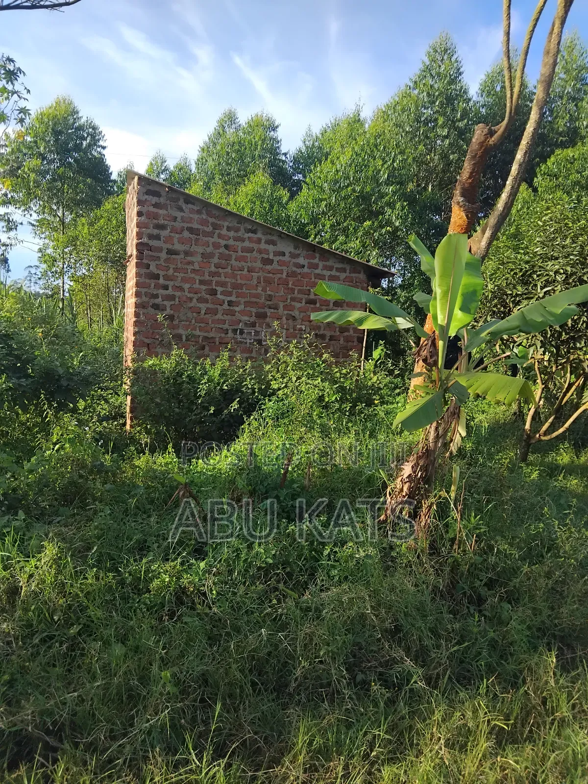 Plot of Land