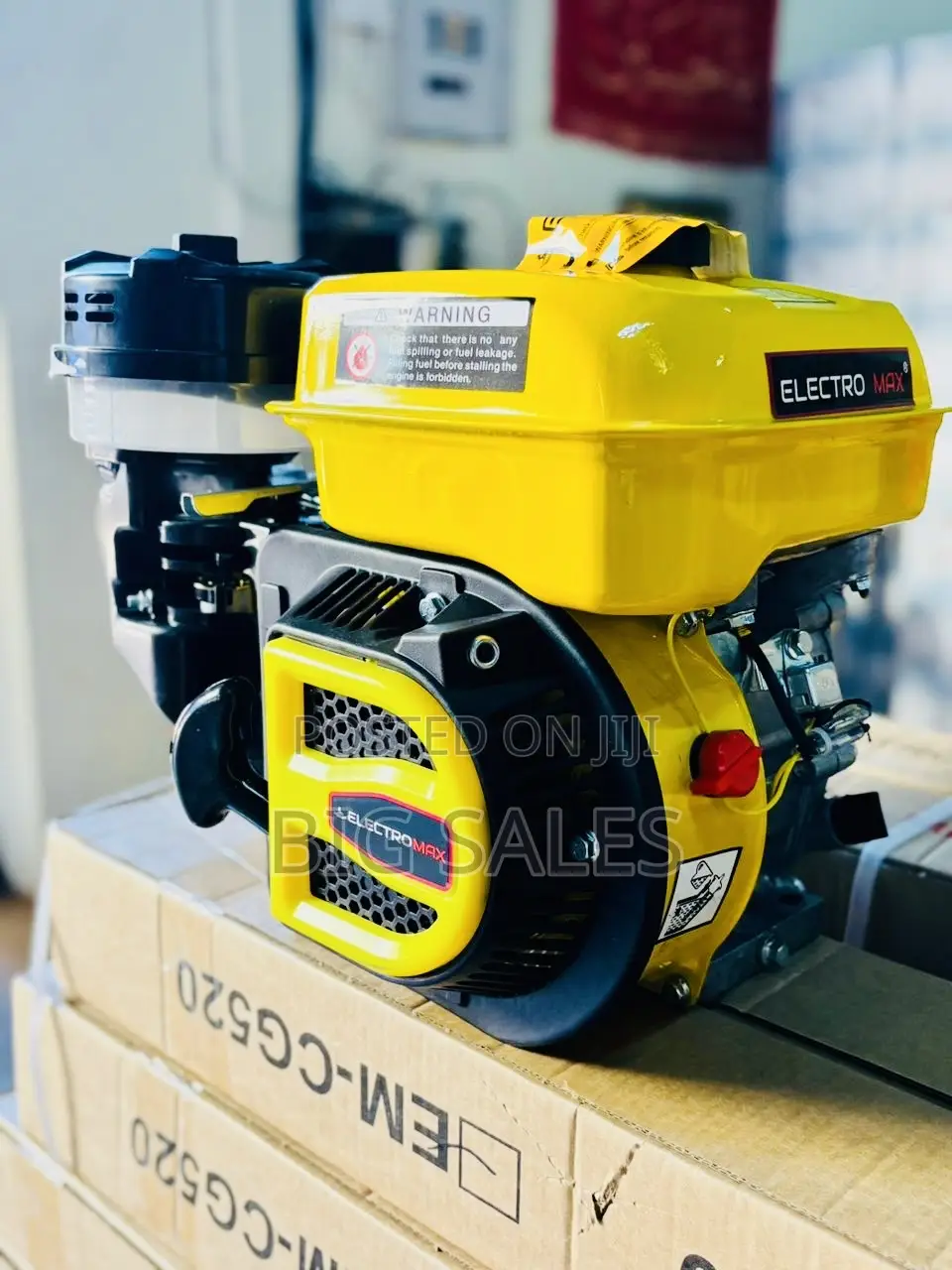 Electromax- Em165 Petrol Engine