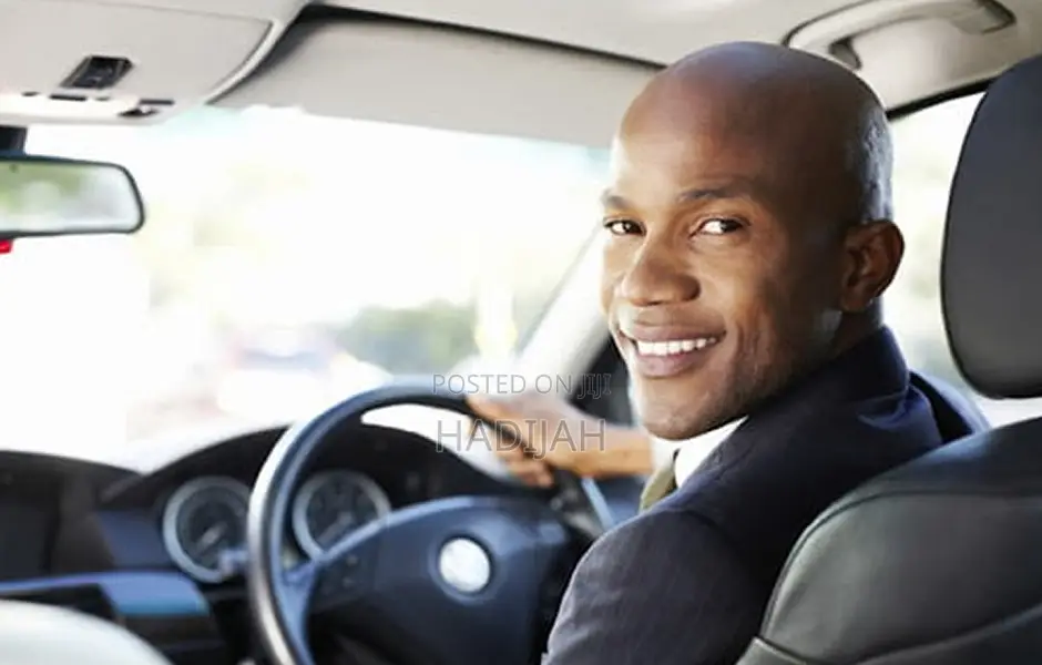 Professional Driver Services