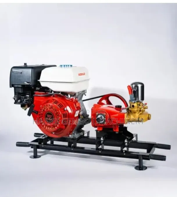 Royalty Spraying Unit/Power Spraying 4 Stroke/Petro Power Sprayer