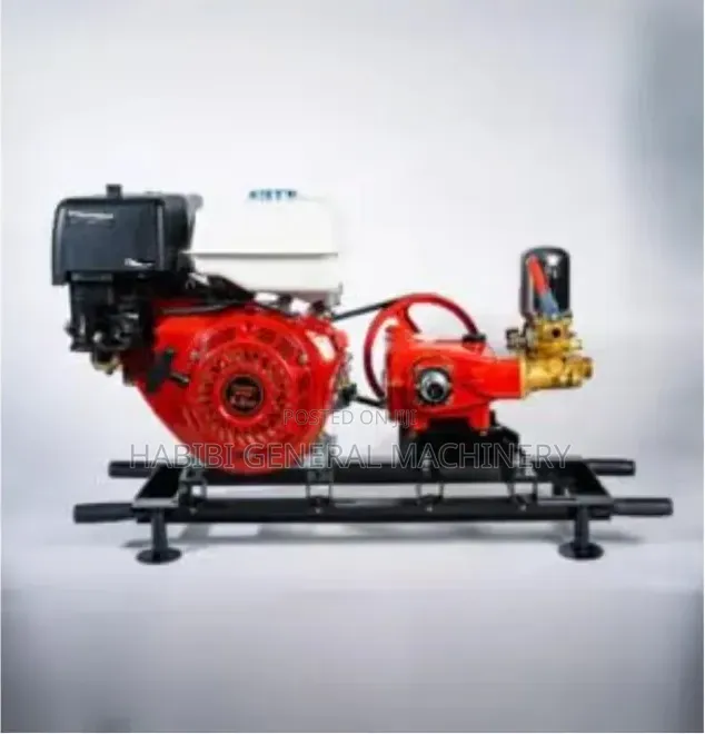 Royalty Spraying Unit/Power Spraying 4 Stroke/Petro Power Sprayer