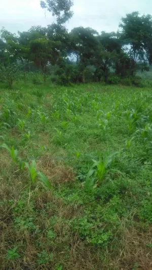 Plot for Sale