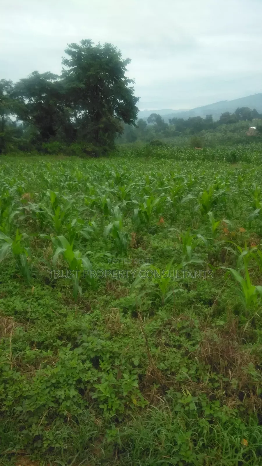 Plot for Sale