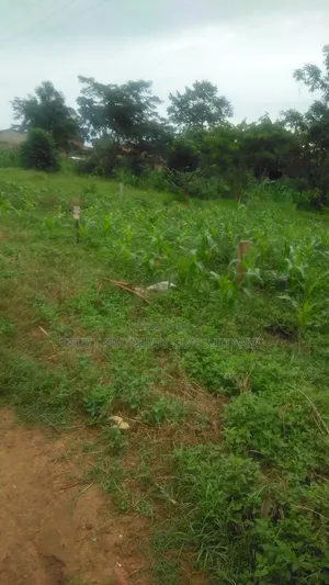 Plot for Sale