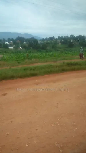 Plot for Sale