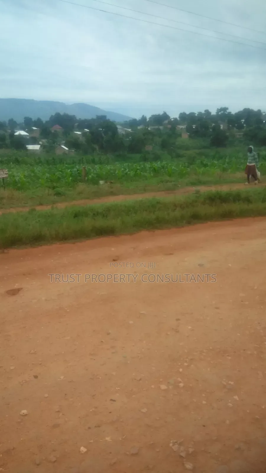 Plot for Sale