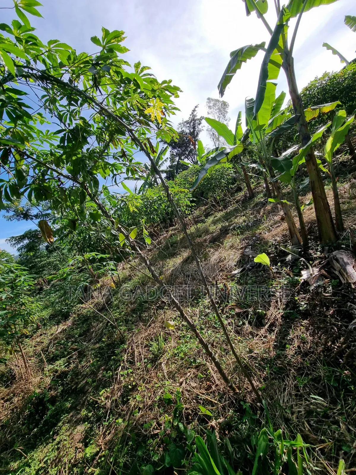 Land for Sale in Katende