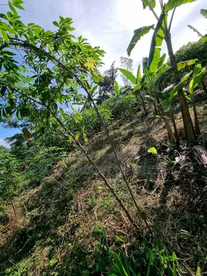 Land for Sale in Katende