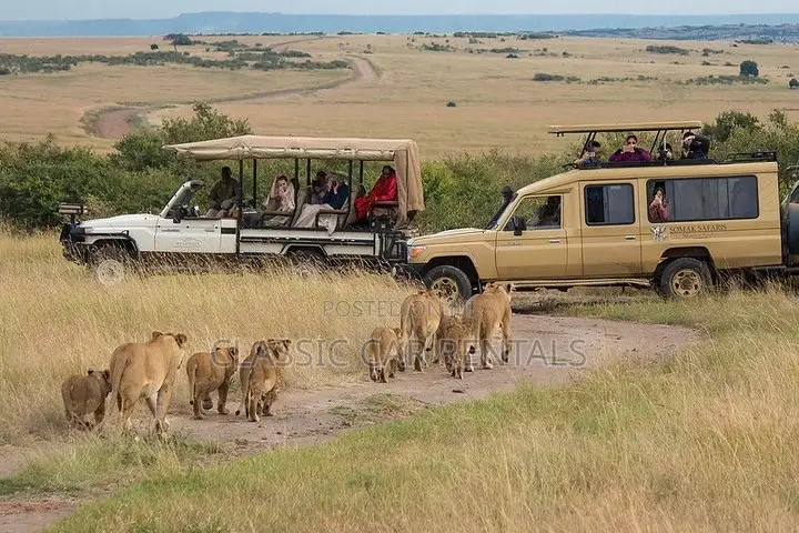 Toyota Safari Landcruisers Hardtops for Hire