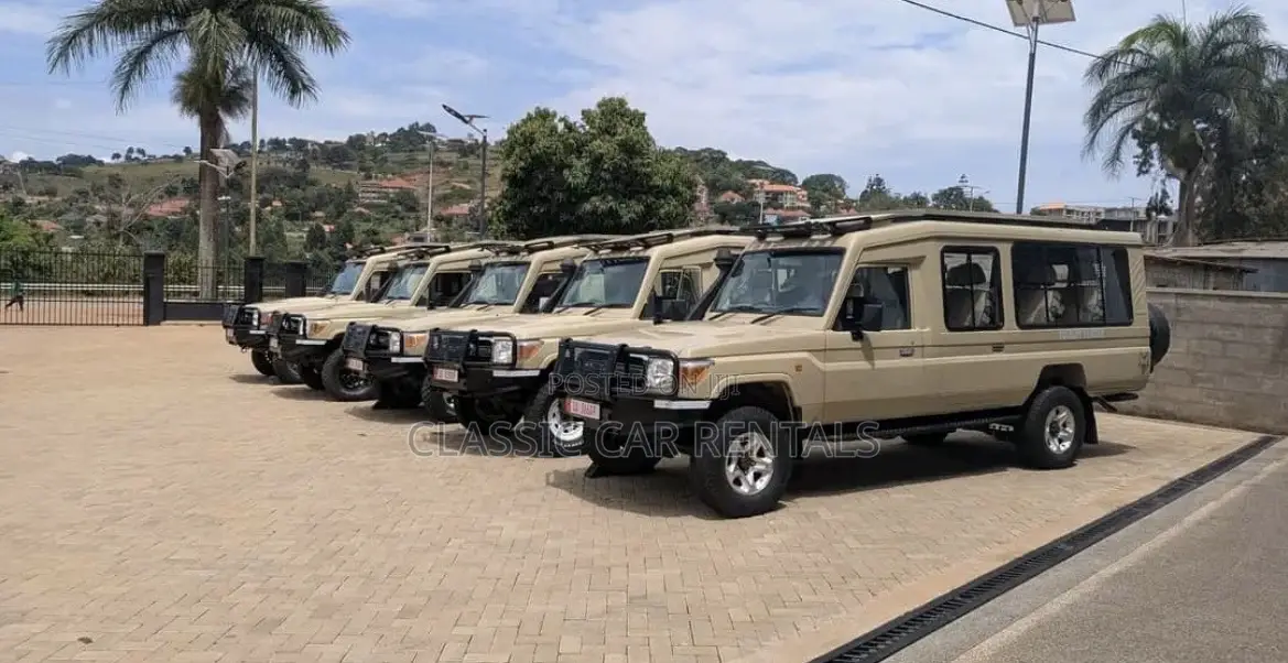 Toyota Safari Landcruisers Hardtops for Hire