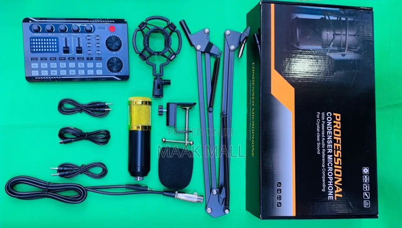Music Recording Personal Condenser and Sound Arc