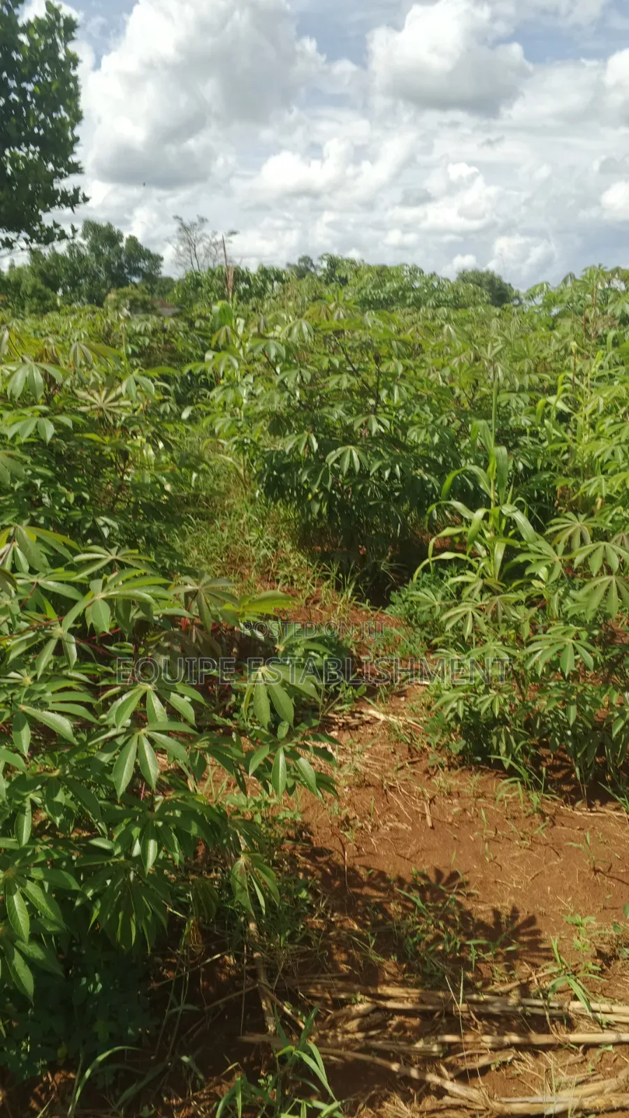 Plot's Available Kikandwa Mukono Kayunga Road